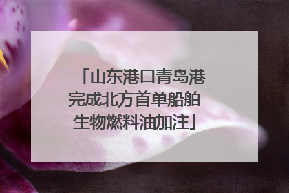 山东港口青岛港完成北方首单船舶生物燃料油加注
