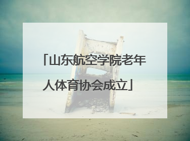 山东航空学院老年人体育协会成立