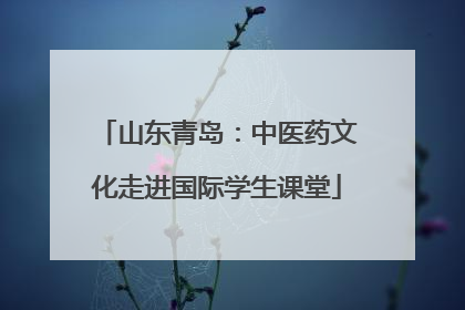 山东青岛：中医药文化走进国际学生课堂