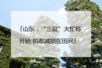 山东：“三夏”大忙将开始 机收减损在田间