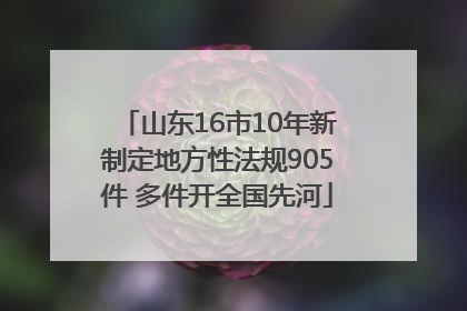 山东16市10年新制定地方性法规905件 多件开全国先河