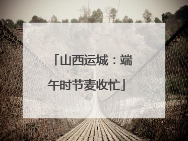 山西运城：端午时节麦收忙
