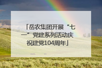 岳农集团开展“七一”党建系列活动庆祝建党104周年