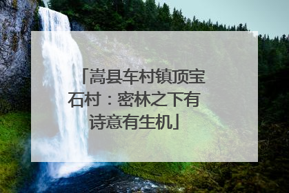 嵩县车村镇顶宝石村：密林之下有诗意有生机