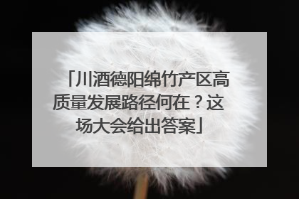 川酒德阳绵竹产区高质量发展路径何在？这场大会给出答案