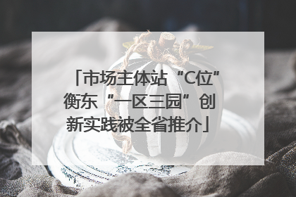 市场主体站“C位” 衡东“一区三园”创新实践被全省推介