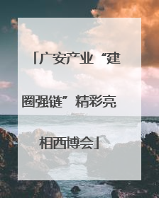 广安产业“建圈强链”精彩亮相西博会