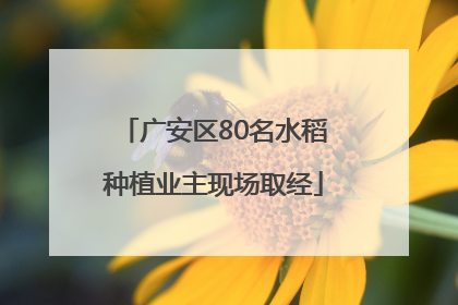 广安区80名水稻种植业主现场取经
