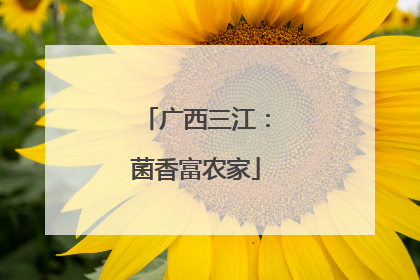 广西三江：菌香富农家