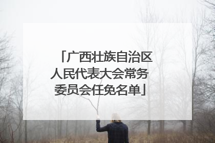 广西壮族自治区人民代表大会常务委员会任免名单