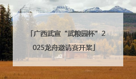广西武宣“武粮园杯”2025龙舟邀请赛开桨