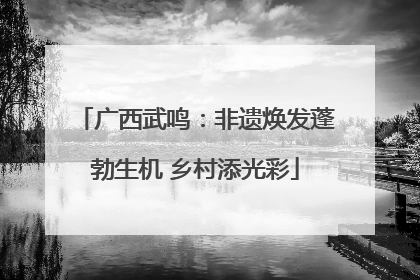 广西武鸣：非遗焕发蓬勃生机 乡村添光彩