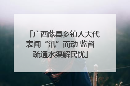 广西藤县乡镇人大代表闻“汛”而动 监督疏通水渠解民忧