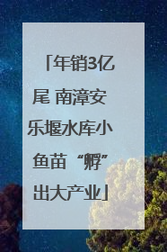 年销3亿尾 南漳安乐堰水库小鱼苗“孵”出大产业