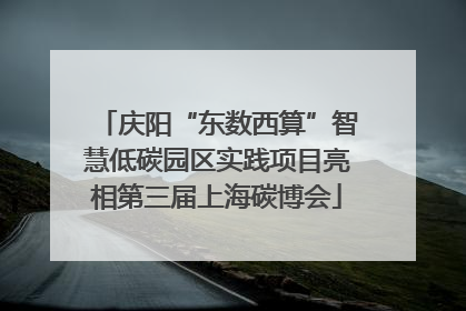 庆阳“东数西算”智慧低碳园区实践项目亮相第三届上海碳博会