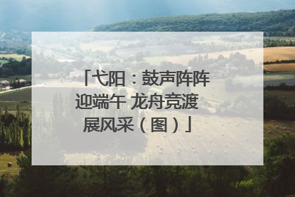 弋阳：鼓声阵阵迎端午 龙舟竞渡展风采（图）