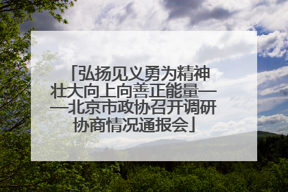 弘扬见义勇为精神 壮大向上向善正能量——北京市政协召开调研协商情况通报会