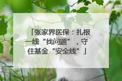 张家界医保：扎根一线“找问题”，守住基金“安全线”