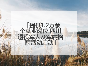 提供1.2万余个就业岗位 四川退役军人及军属招聘活动启动