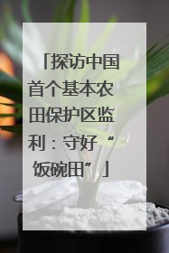 探访中国首个基本农田保护区监利：守好“饭碗田”