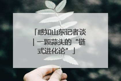 感知山东记者谈｜一颗蒜头的“链式进化论”