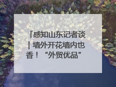 感知山东记者谈｜墙外开花墙内也香！“外贸优品”打通国内国际市场“旋转门”