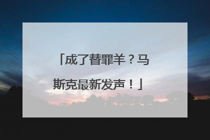 成了替罪羊？马斯克最新发声！
