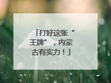 打好这张“王牌”，内蒙古有实力！
