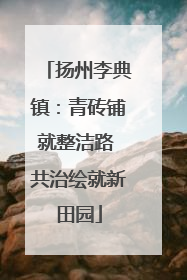 扬州李典镇：青砖铺就整洁路 共治绘就新田园