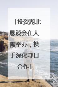 投资湖北恳谈会在大阪举办，携手深化鄂日合作