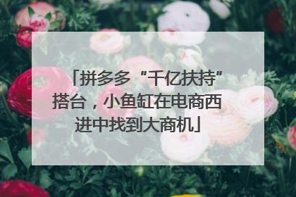 拼多多“千亿扶持”搭台，小鱼缸在电商西进中找到大商机