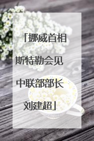 挪威首相斯特勒会见中联部部长刘建超