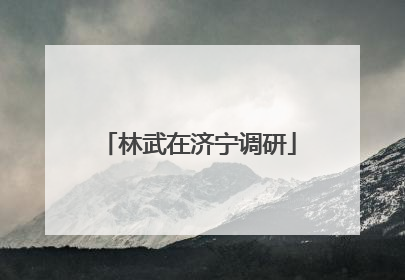 林武在济宁调研