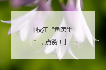 枝江“鱼医生”，点赞！