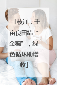枝江：千亩良田结“金穗”，绿色循环助增收