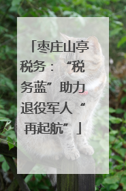 枣庄山亭税务：“税务蓝”助力退役军人“再起航”