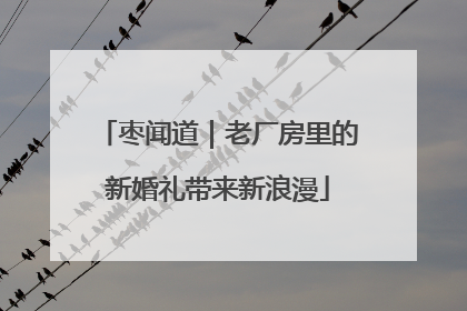 枣闻道｜老厂房里的新婚礼带来新浪漫