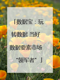 数据宝：玩转数据 当好数据要素市场“领军者”