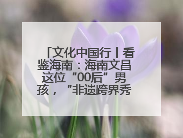文化中国行丨看鉴海南：海南文昌这位“00后”男孩，“非遗跨界秀”走起