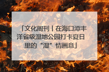 文化周刊丨在海口潭丰洋省级湿地公园打卡夏日里的“湿”情画意