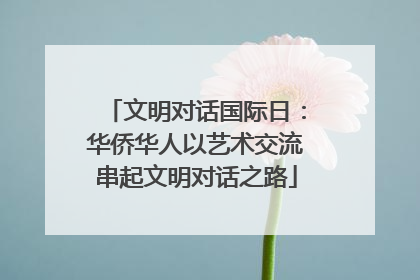 文明对话国际日：华侨华人以艺术交流串起文明对话之路