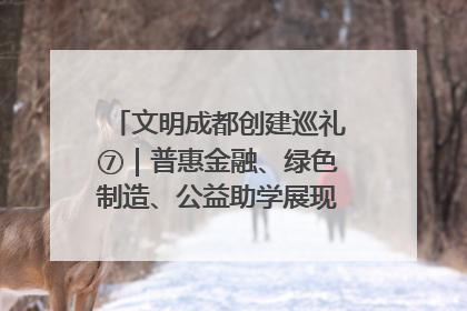 文明成都创建巡礼⑦｜普惠金融、绿色制造、公益助学展现城市文明底色