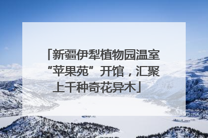 新疆伊犁植物园温室“苹果苑”开馆，汇聚上千种奇花异木