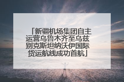 新疆机场集团自主运营乌鲁木齐至乌兹别克斯坦纳沃伊国际货运航线成功首航