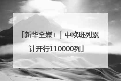 新华全媒+｜中欧班列累计开行110000列