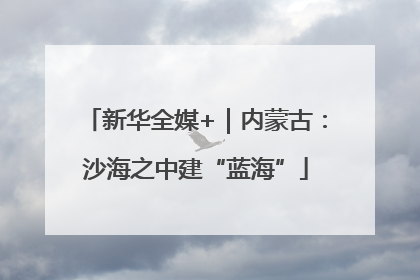 新华全媒+｜内蒙古：沙海之中建“蓝海”