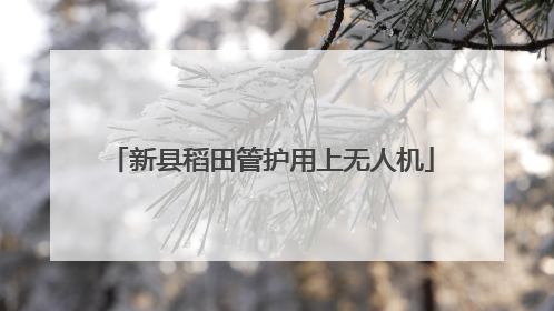 新县稻田管护用上无人机