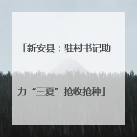 新安县：驻村书记助力“三夏”抢收抢种