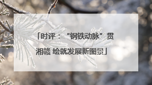 时评：“钢铁动脉”贯湘赣 绘就发展新图景