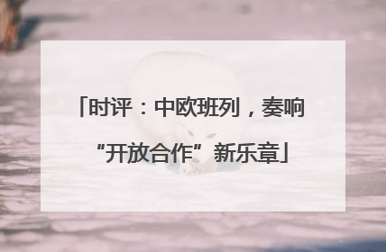 时评：中欧班列，奏响“开放合作”新乐章